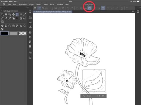 How to Flip Selection in Clip Studio Paint: A Creative Twist on Digital Art Techniques